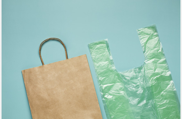 Brown Bag